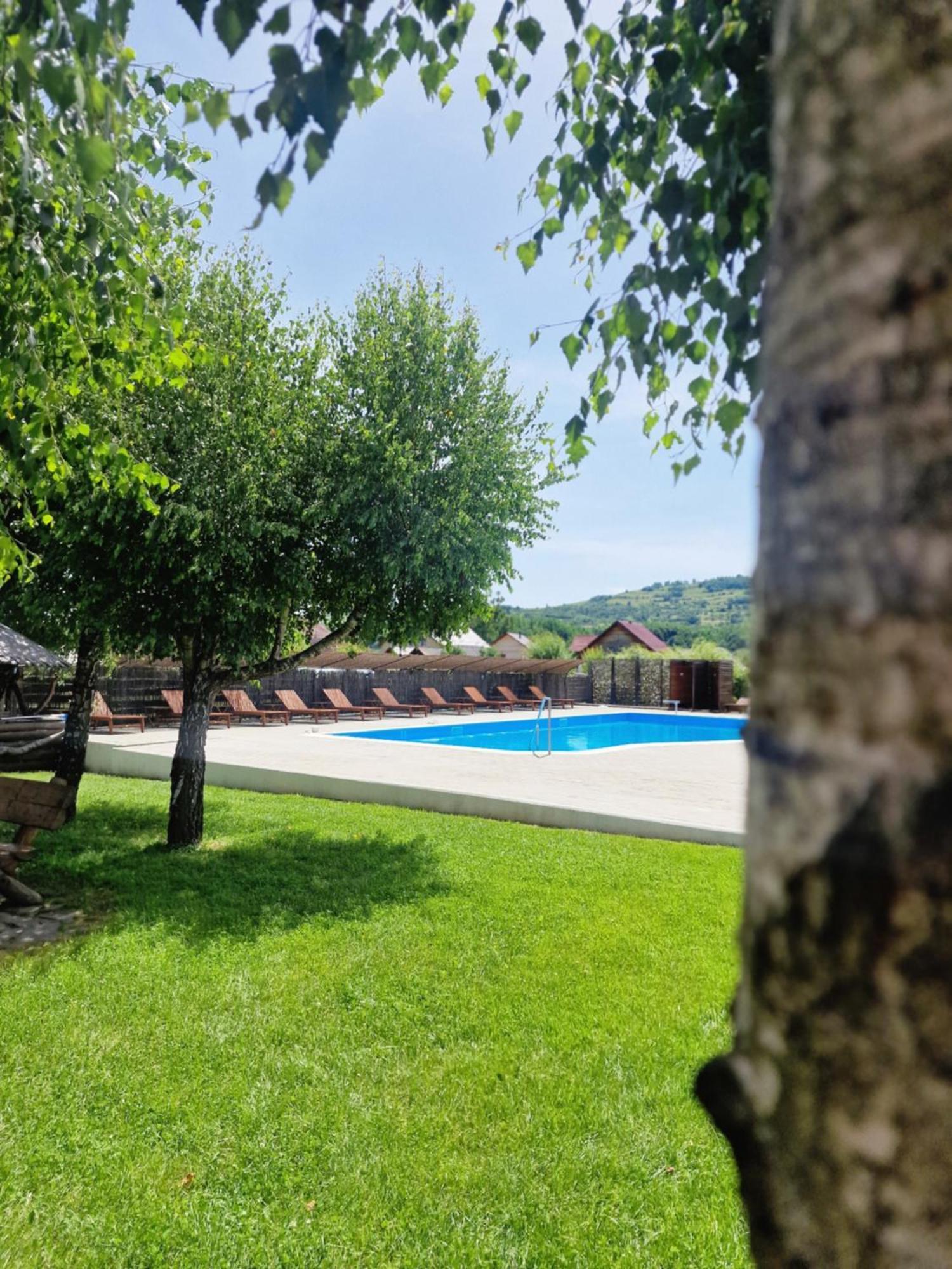 Casa Tomșa Bed & Breakfast Rozavlea Exterior foto